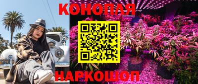амф Обнинск