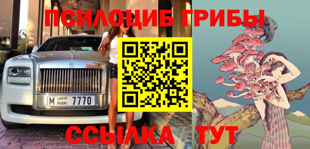 Новокуйбышевск  Галлюциногенные грибы Psilocybine cubensis  Галлюциногенные грибы Psilocybe  Вход с VPN 